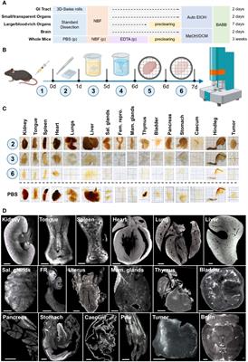 ROCKETS – a novel one-for-all toolbox for light sheet microscopy in drug discovery